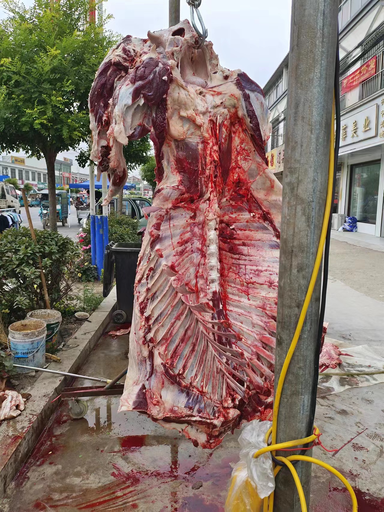 牛肉批發